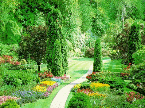 Jardin fleuri